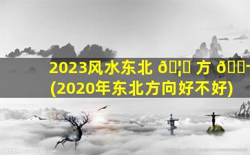 2023风水东北 🦄 方 🐬 (2020年东北方向好不好)